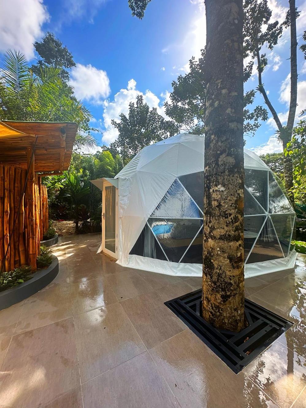 Palo Alto Glamping Hotel Quesada (Alajuela) Quarto foto